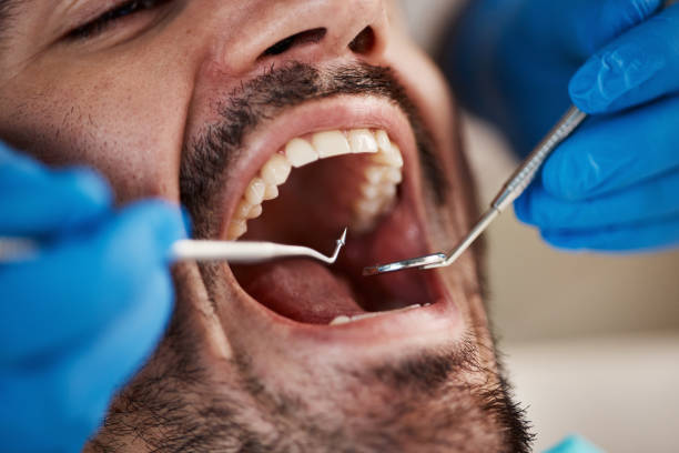 Best Emergency Orthodontic Services in Prudenville, MI